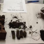 sprinkling soil on table