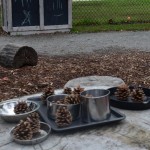 pinecones in tin containers