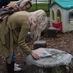 book centre on tree stump