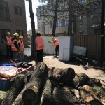 playground construction