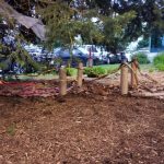 woodchips mulch in playground